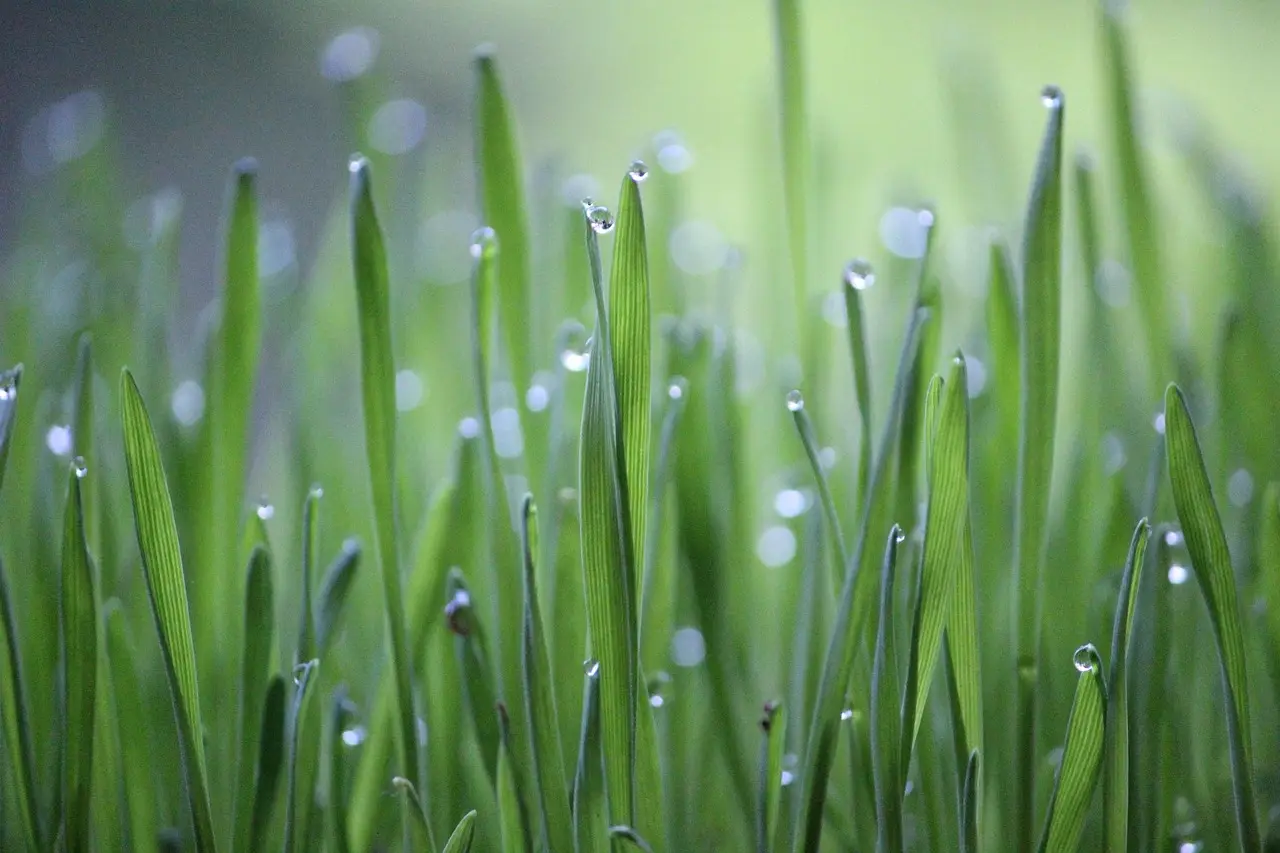 Crop progress report 10/19/26: Half of winter wheat planted - FarmWeekNow