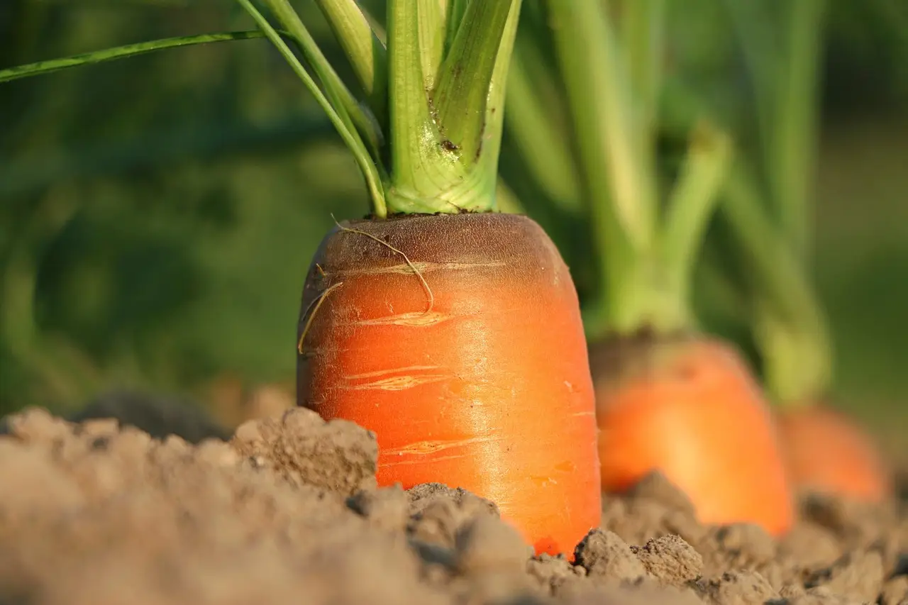 Family's 40-year commitment to soil health pays off - Farm Progress