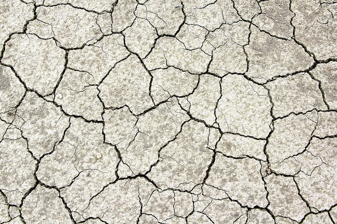 Soil Sampling Timing Shapes Soil Health Results - Farms.com