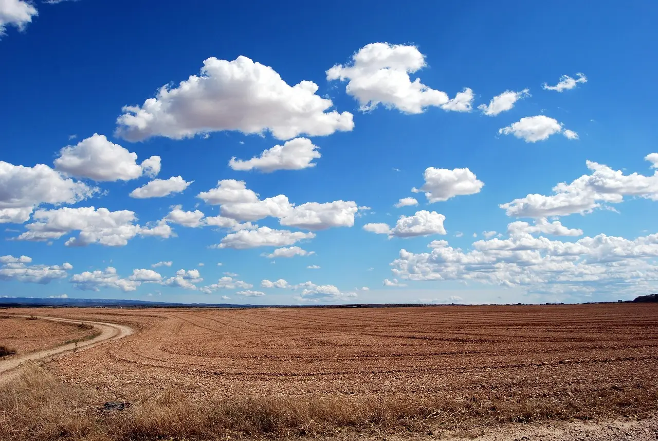 Why managing soil pH is essential for pasture productivity
